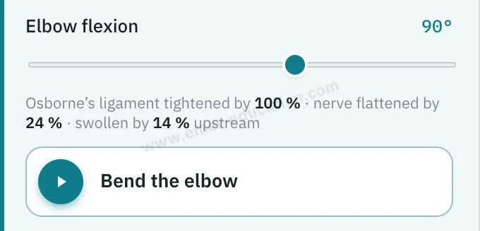 Model panel: elbow flexion at 90°, ligament tension measurement, “Bend the elbow” button.