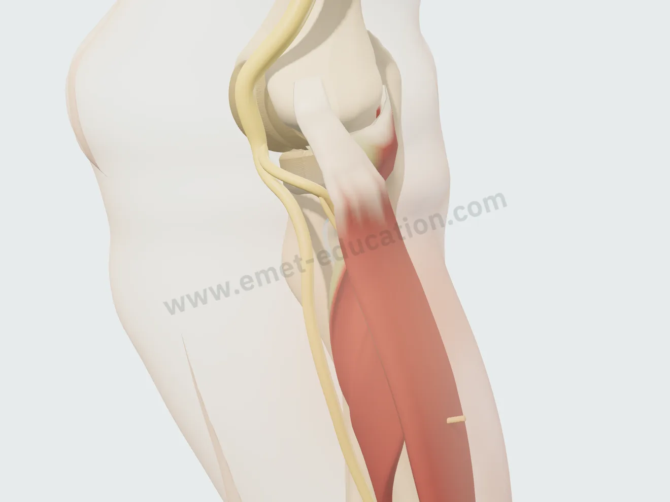 Injection, step 3: the needle removed, the painful area faded on the skin.