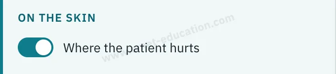 Model panel: the “Where the patient hurts” switch, turned on.