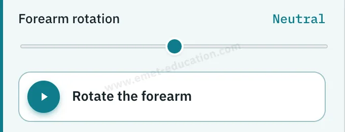 Model panel: the forearm rotation slider and the “Rotate the forearm” button.