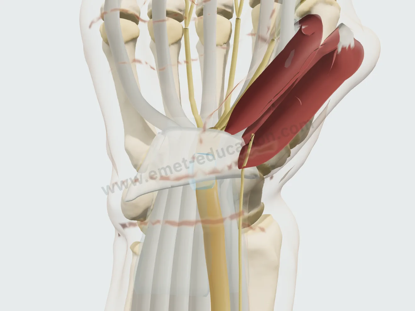 Injection, step 3: the needle withdrawn, a relief that is often temporary.
