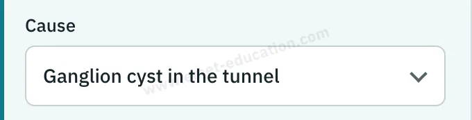 Model panel: cause selector, tenosynovitis, ganglion cyst or lipoma in the tunnel.