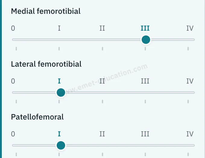 Model panel: osteoarthritis in free selection, three Kellgren-Lawrence gauges.