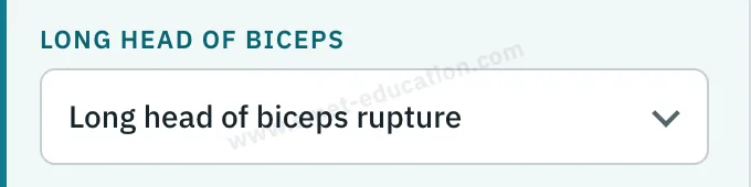 Model panel: long head of the biceps, biceps rupture.