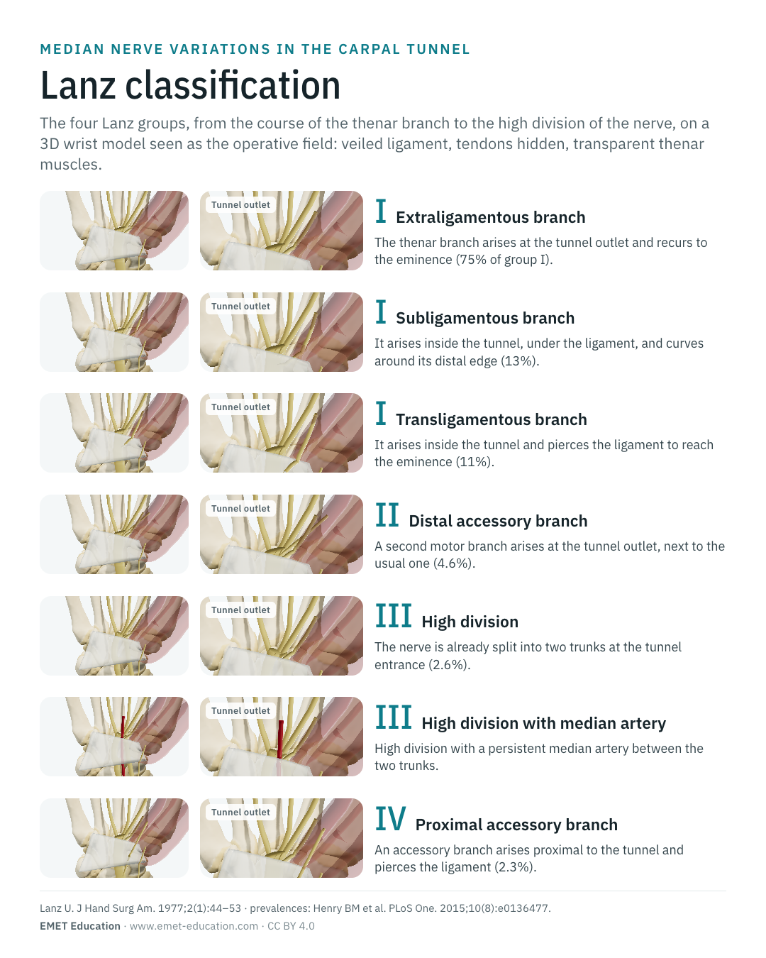 Portrait infographic of the seven Lanz forms, one row per form.