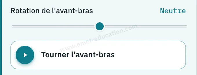 Panneau du modèle : glissière de rotation de l'avant-bras et bouton « Tourner l'avant-bras ».