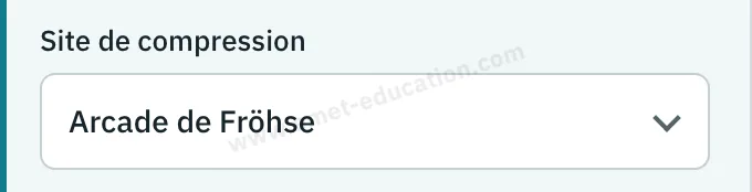 Panneau du modèle : liste « Site de compression », arcade de Fröhse ou bord du court extenseur radial.