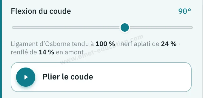Panneau du modèle : flexion du coude à 90°, mesure de la tension du ligament, bouton « Plier le coude ».