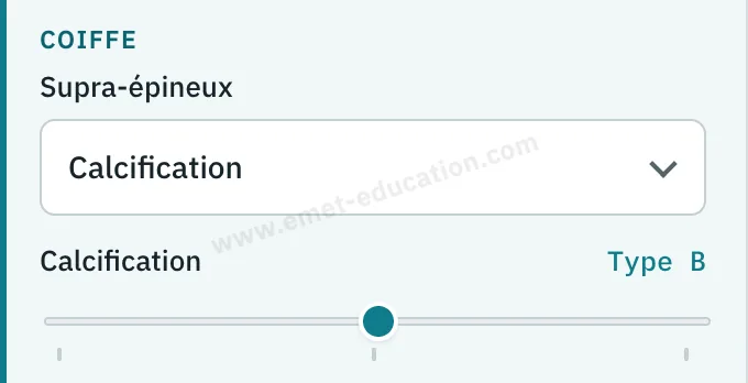 Panneau du modèle : supra-épineux, calcification de type B.