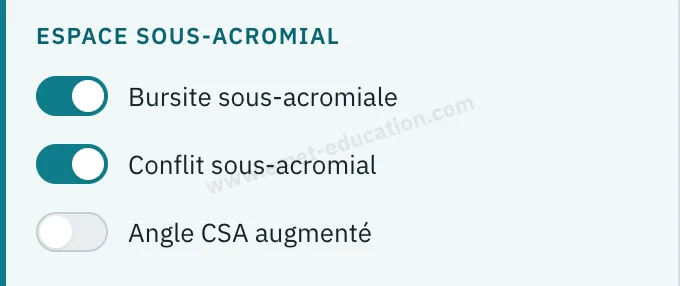 Panneau du modèle : espace sous-acromial, bursite sous-acromiale et conflit sous-acromial activés.