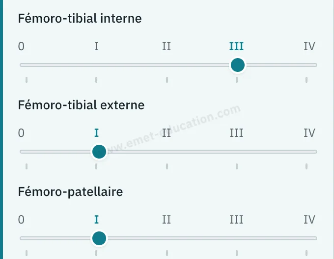 Panneau du modèle : arthrose en sélection libre, trois jauges de Kellgren et Lawrence.