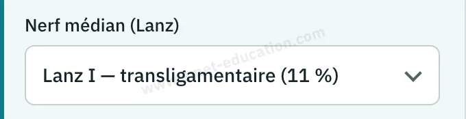 Panneau du modèle : menu « Nerf médian (Lanz) », sept variantes du rameau thénarien.